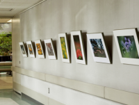 写真　信愛ギャラリー　廊下の壁に展示品が並ぶ